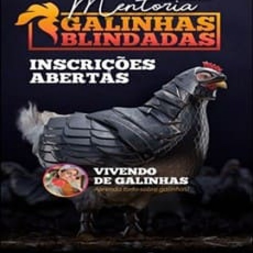 Mentoria Galinhas Blindadas - Fran Adorno Mentoria Galinhas Blindadas - Fran Adorno