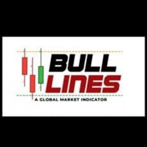 Bull Lines - Paulo Alberto e Wesley Gavazzi