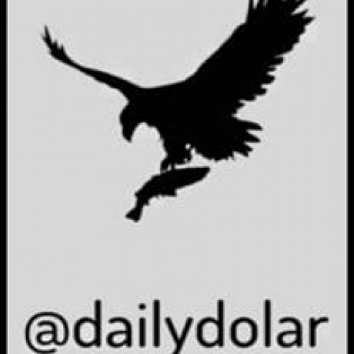 Daily Dolar - Pedro