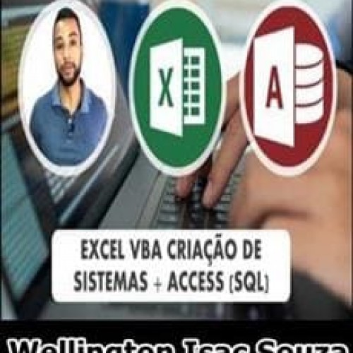 Excel VBA Criação de Sistemas + Banco de Dados Access (SQL) - Wellington Isac Souza