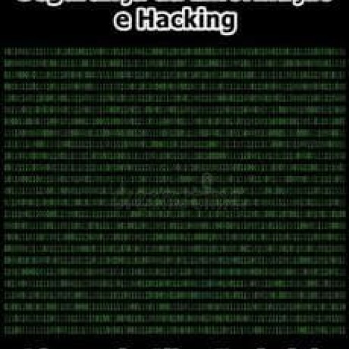 Segurança da Informação e Hacking - Afonso da Silva Espindola