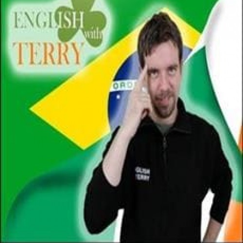 Alcance a Fluência em Inglês com Sucesso - Terry Mc Gonigle