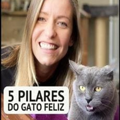 5 Pilares do Gato Feliz - Larissa Rüncos