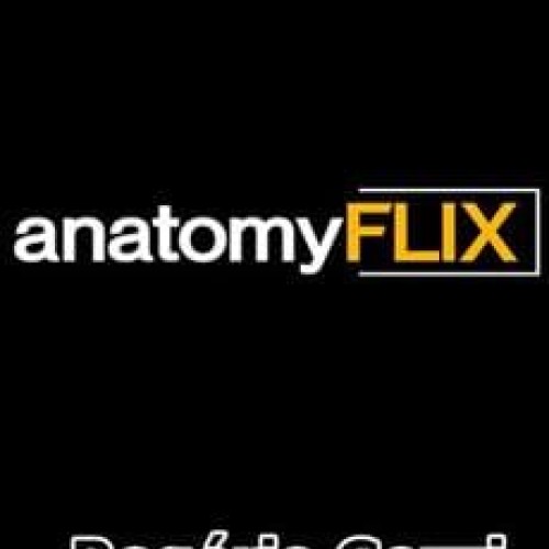 Anatomyflix 2.0 - Rogério Gozzi