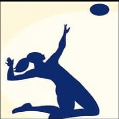 Fundamentos do Vôlei - Bernardinho